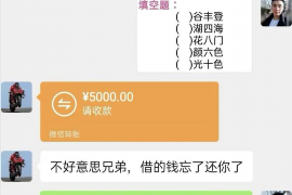 沧县为什么选择专业追讨公司来处理您的债务纠纷？